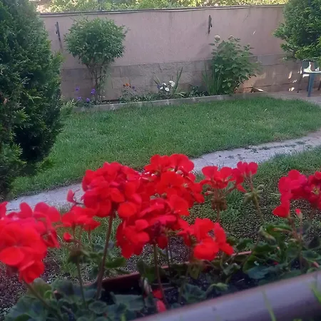 Апартаменты рая Созополь